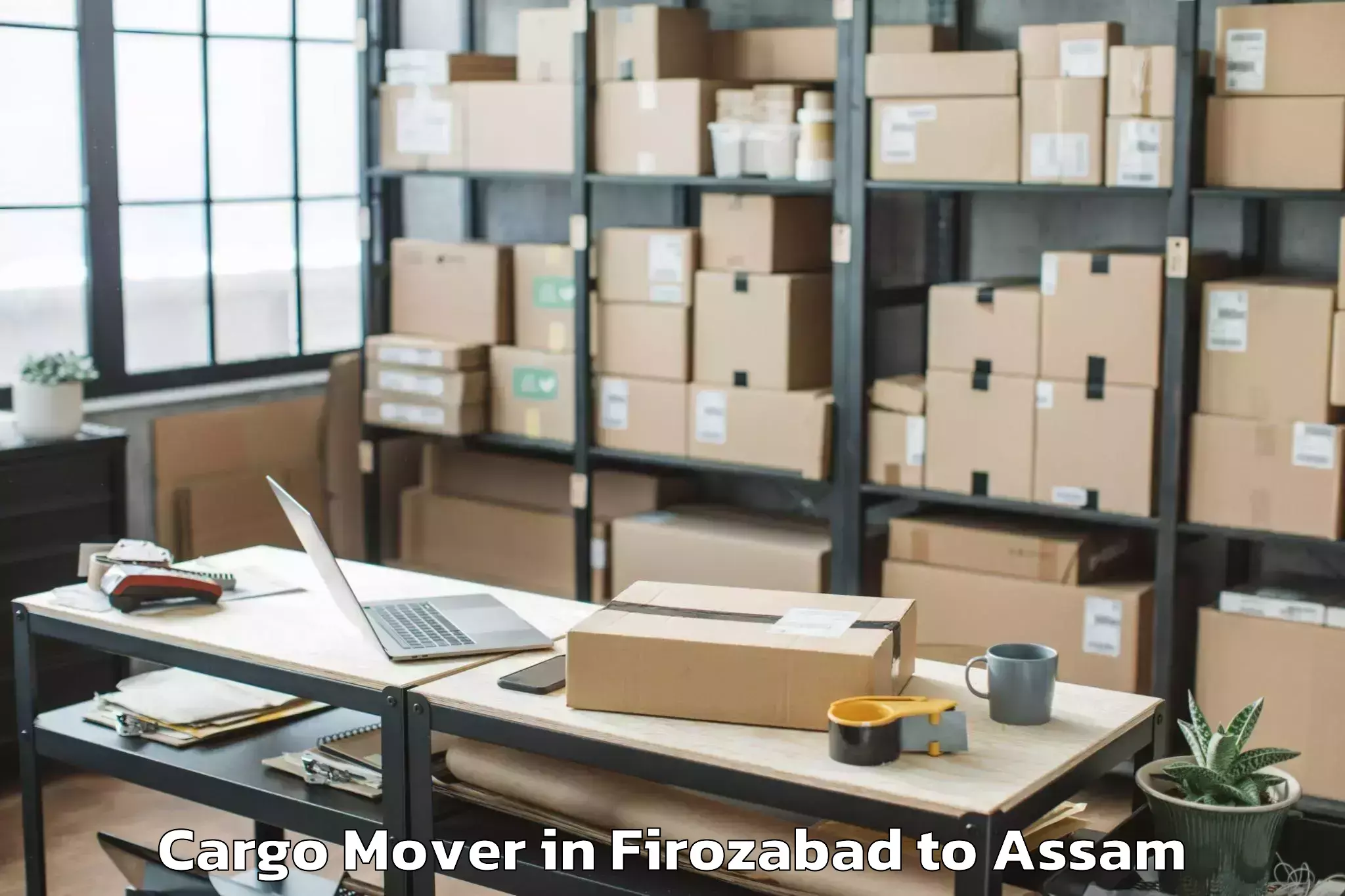 Professional Firozabad to Salonibari Airport Tez Cargo Mover